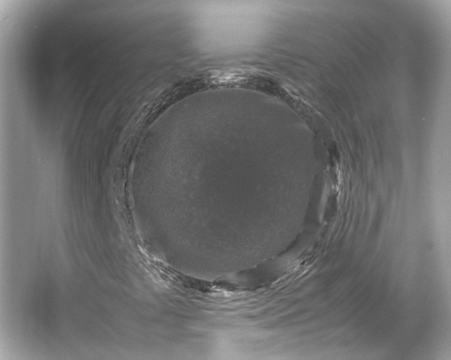 X0000065961441200603101410