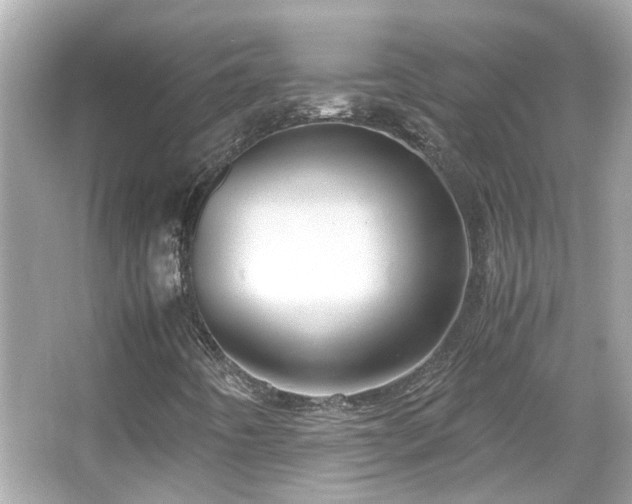 X0000065961442200603101410