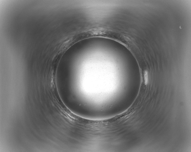 X0000065961444200603101410