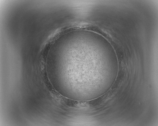X0000065961447200603101410