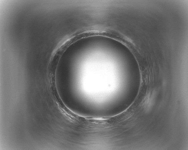 X0000065961448200603101410