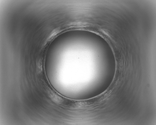 X0000065961451200603101410