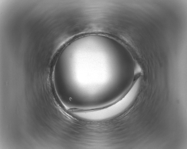 X0000065961452200603101410