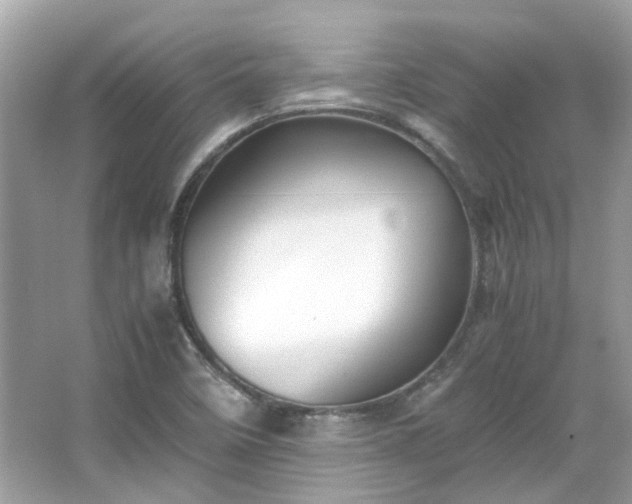 X0000065961458200603101409