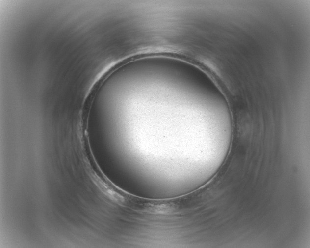 X0000065961460200603101409