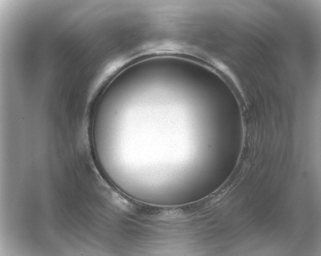 X0000065961464200603101409