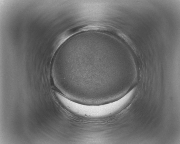 X0000065961465200603101409