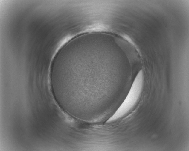 X0000065961469200603101409