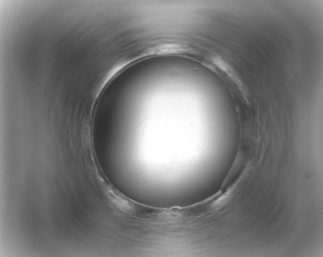 X0000065961473200603101409