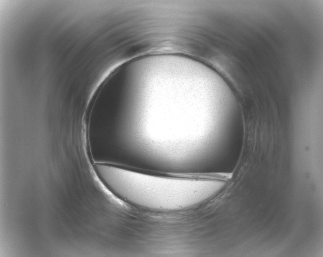 X0000065961476200603101409