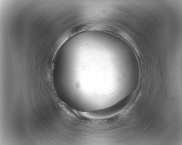 X0000065961481200603101409