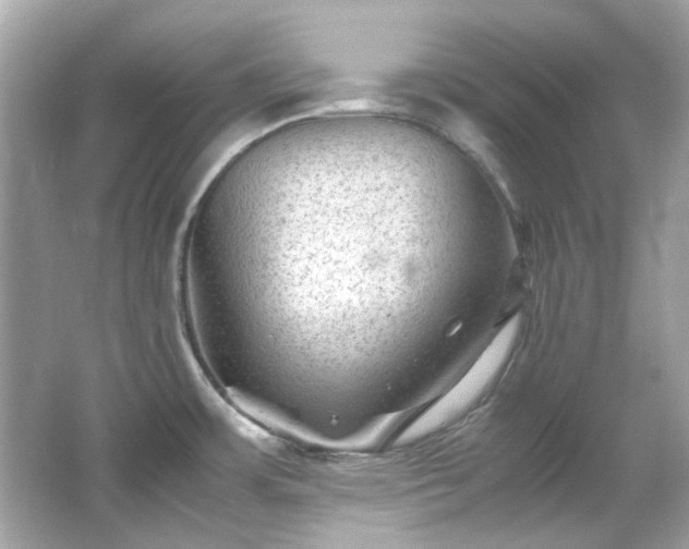 X0000065961483200603101409