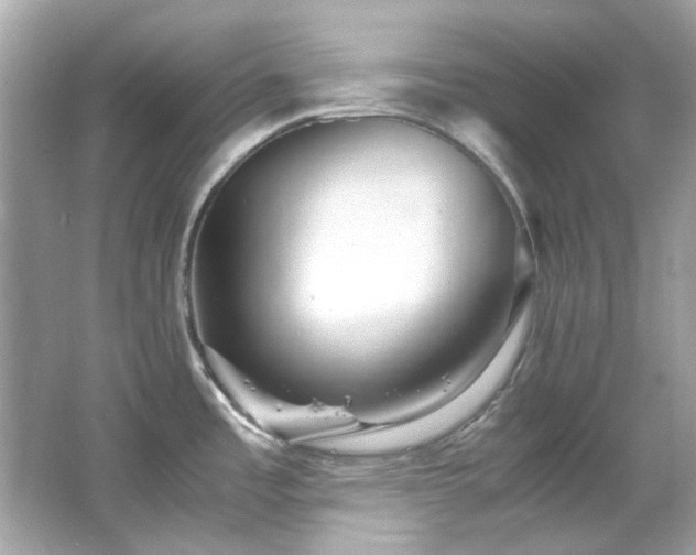X0000065961485200603101409