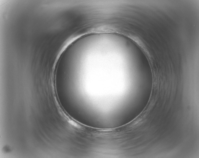 X0000065961486200603101409