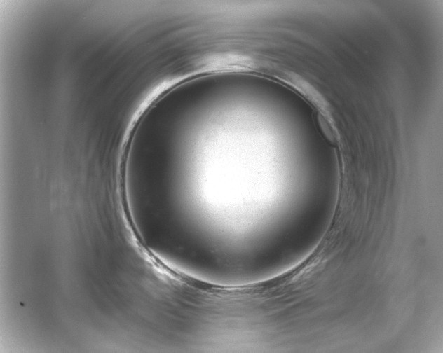X0000065961488200603101409