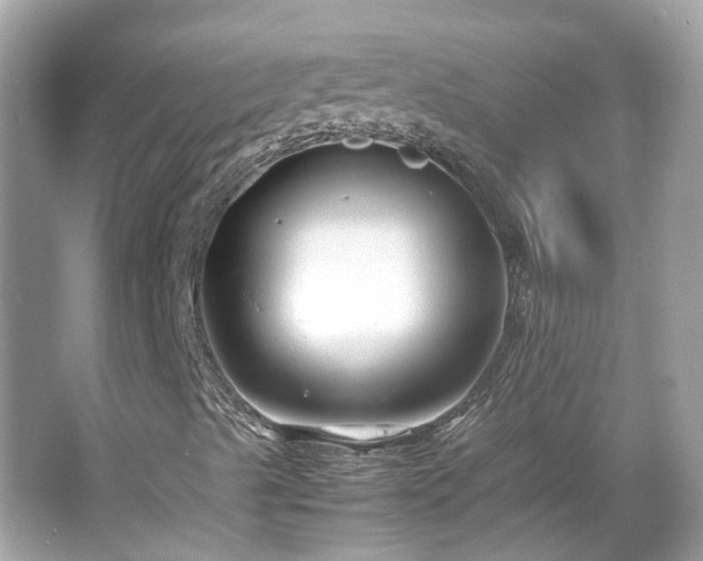 X0000065961489200603101408
