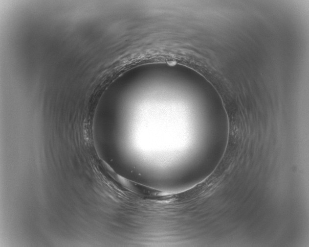 X0000065961490200603101408