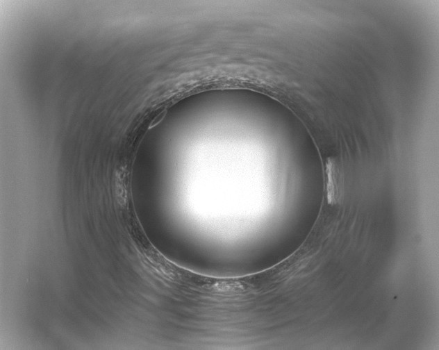 X0000065961491200603101408