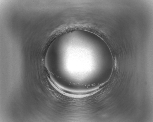 X0000065961492200603101408