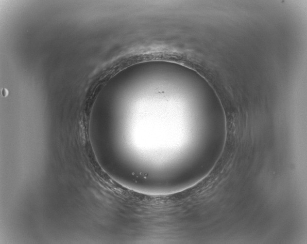 X0000065961493200603101408
