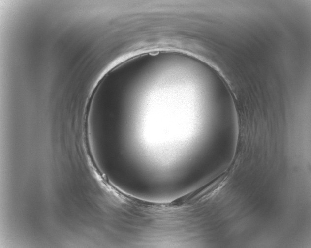 X0000065961534200603101409