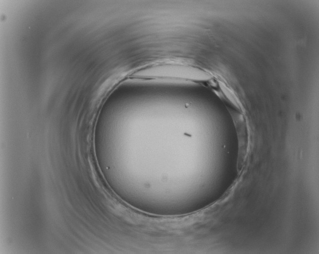 X0000065960001200603172036