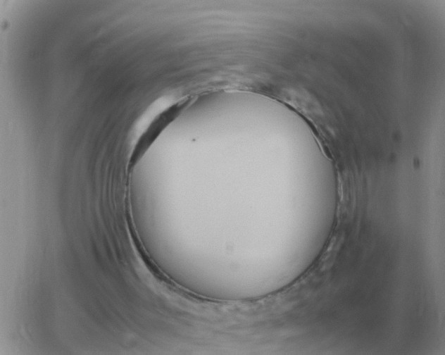 X0000065960003200603172036