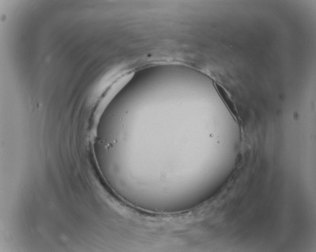 X0000065960005200603172036