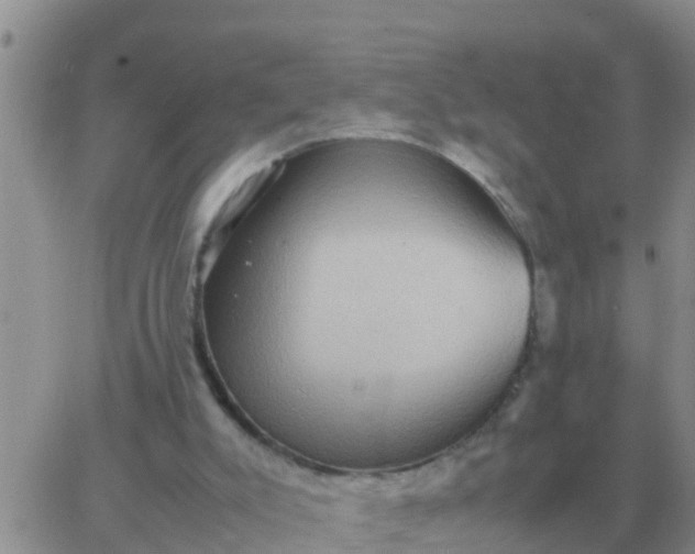 X0000065960007200603172036