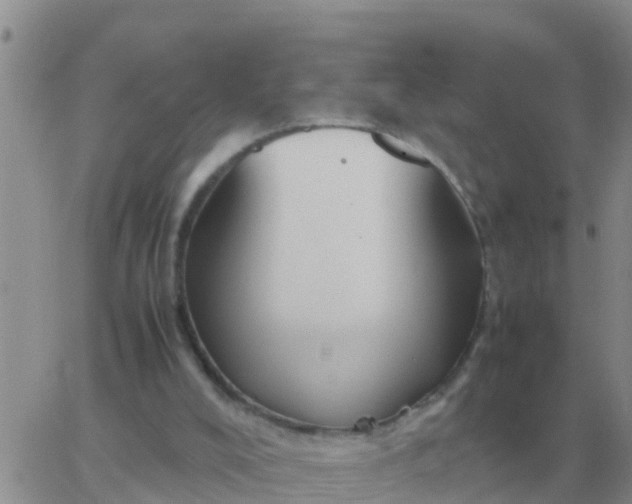 X0000065960008200603172036