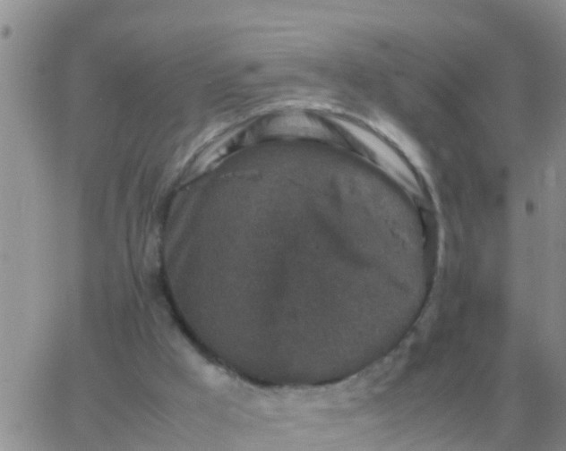 X0000065960009200603172036