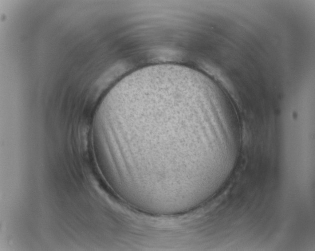 X0000065960010200603172036