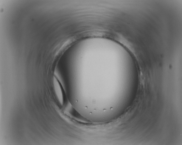 X0000065960013200603172036