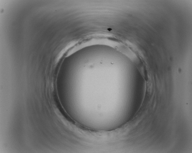 X0000065960015200603172036