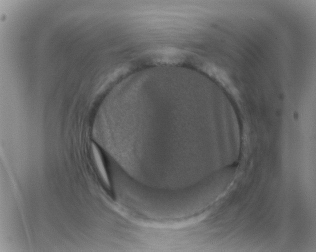 X0000065960017200603172036