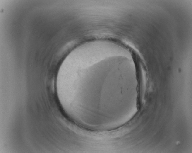 X0000065960019200603172036