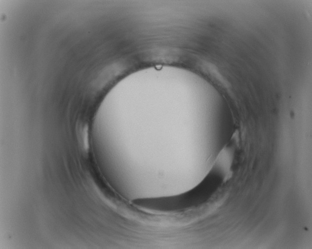 X0000065960020200603172036