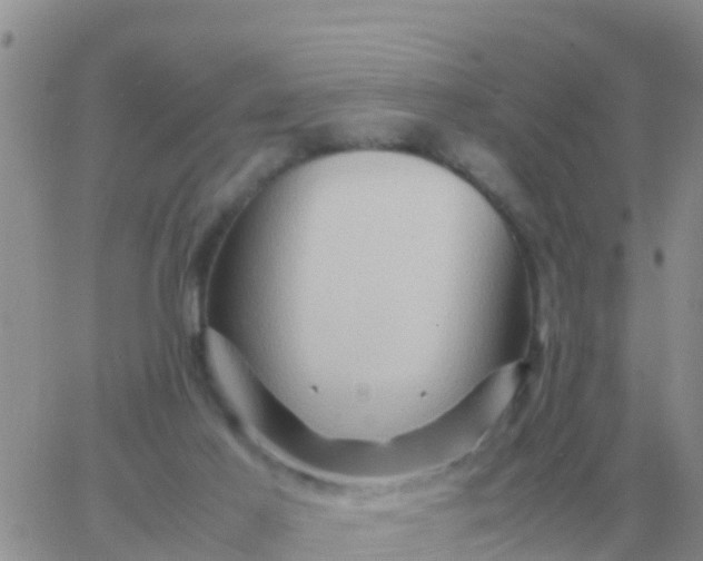 X0000065960021200603172036