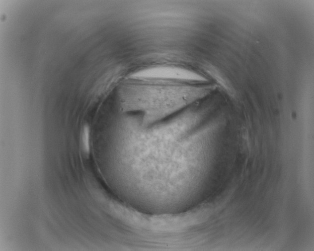 X0000065960022200603172036