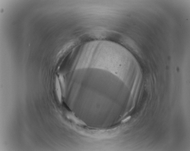 X0000065960023200603172036