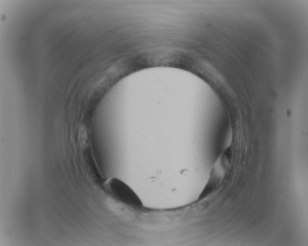 X0000065960025200603172036