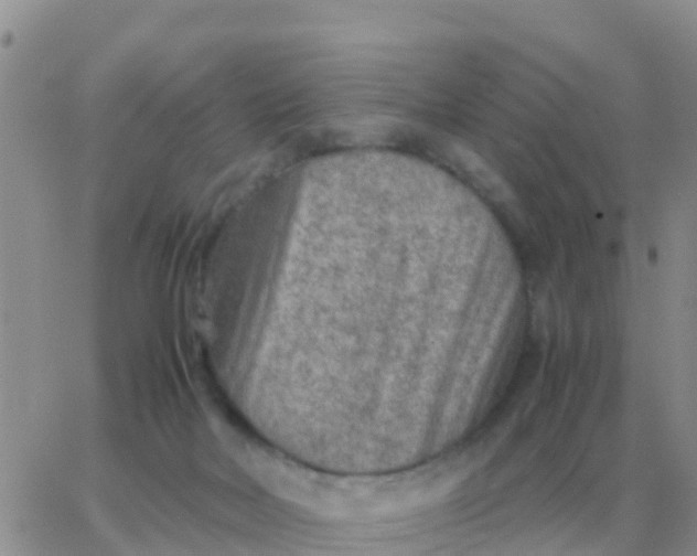 X0000065960026200603172036