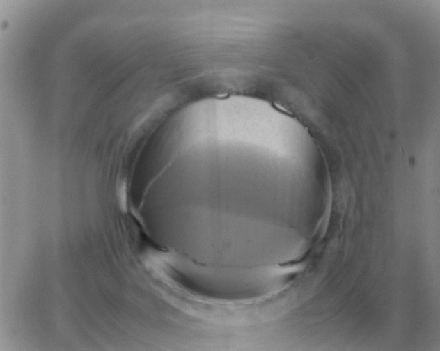 X0000065960027200603172036