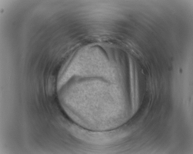 X0000065960030200603172036