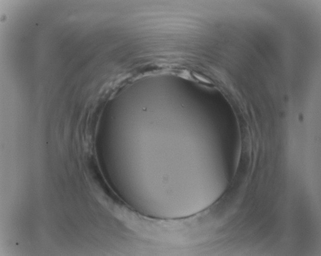 X0000065960031200603172036