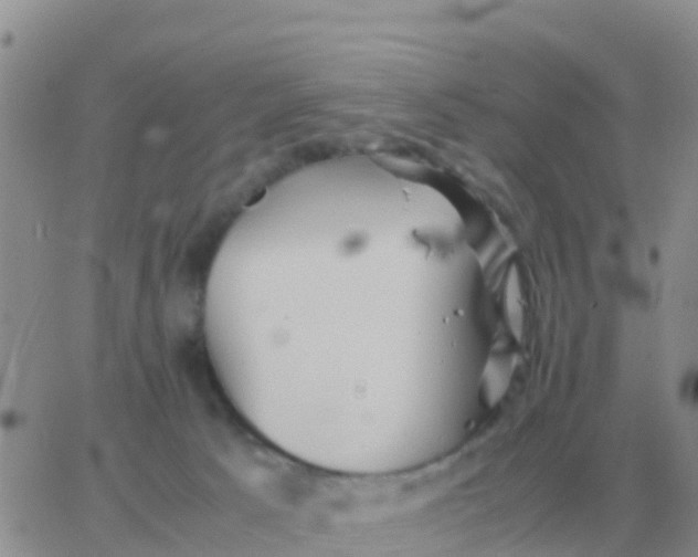 X0000065960033200603172036