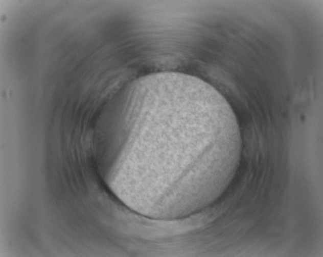 X0000065960034200603172036