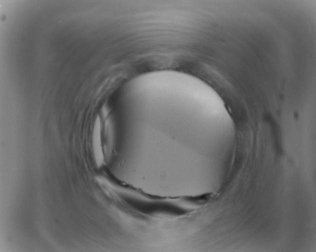 X0000065960035200603172036