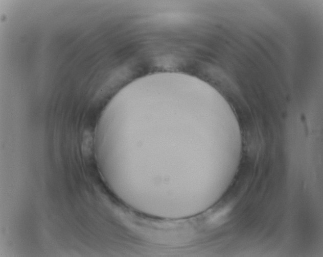 X0000065960036200603172036