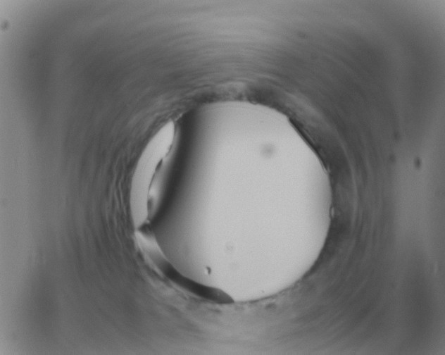 X0000065960037200603172036